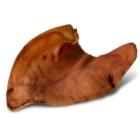 Dogario Bonni Pig's Ear L - duże wieprzowe ucho oferta hurtowa x50 Dogario Bonni Pig's Ear L - duże wieprzowe ucho oferta hurtowa x50