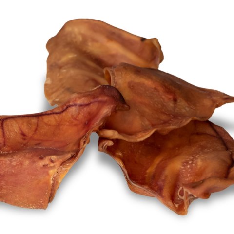Dogario Bonni Pig's Ear L - duże wieprzowe ucho oferta hurtowa x50 Dogario Bonni Pig's Ear L - duże wieprzowe ucho oferta hurtowa x50