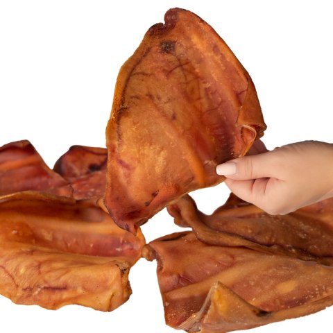 Dogario Bonni Pig's Ear L - duże wieprzowe ucho oferta hurtowa x50 Dogario Bonni Pig's Ear L - duże wieprzowe ucho oferta hurtowa x50