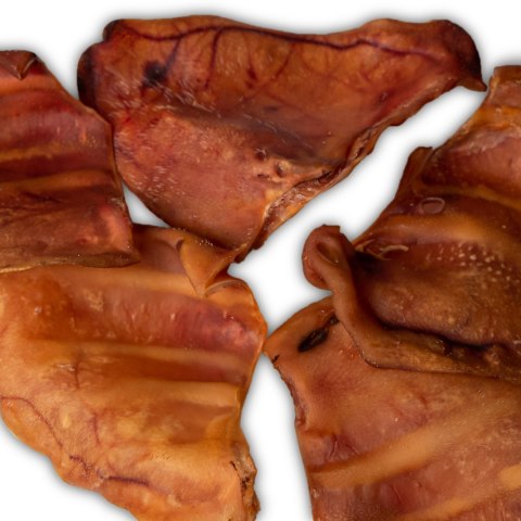 Dogario Bonni Pig's Ear L - duże wieprzowe ucho oferta hurtowa x50 Dogario Bonni Pig's Ear L - duże wieprzowe ucho oferta hurtowa x50