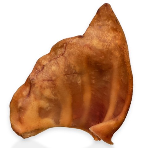 Dogario Bonni Pig's Ear L - duże wieprzowe ucho oferta hurtowa x50 Dogario Bonni Pig's Ear L - duże wieprzowe ucho oferta hurtowa x50