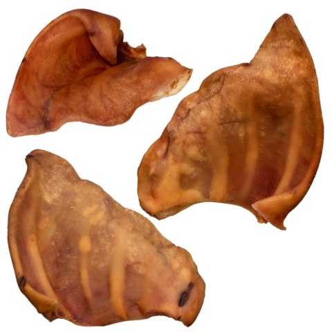 Dogario Bonni Pig's Ear L - duże wieprzowe ucho oferta hurtowa x50 Dogario Bonni Pig's Ear L - duże wieprzowe ucho oferta hurtowa x50