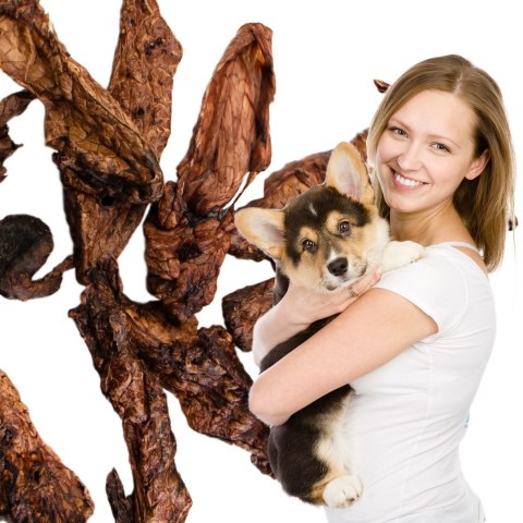 Dogario Bonni Smooth Meat XXL - mięso wołowe x10szt Dogario Bonni Smooth Meat XXL - mięso wołowe x10szt