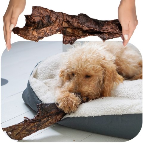 Dogario Bonni Smooth Meat XXL - mięso wołowe 2 sztuki Dogario Bonni Smooth Meat XXL - mięso wołowe 2 sztuki