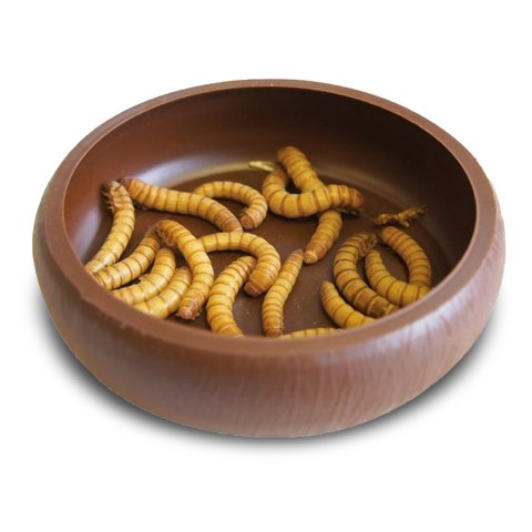 Komodo Mealworm Dish - miska na żywy pokarm Komodo Mealworm Dish - miska na żywy pokarm