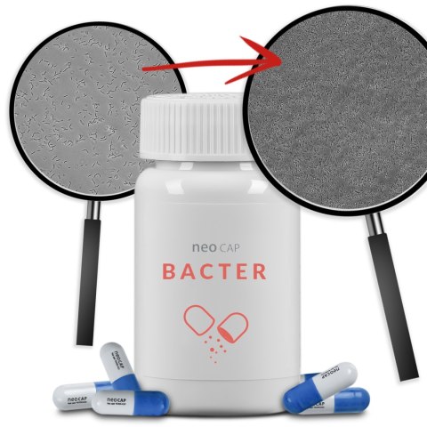 Neo Cap Bacter - 20 kapsułek bakterie i czyszczenie wody Neo Cap Bacter - 20 kapsułek bakterie i czyszczenie wody
