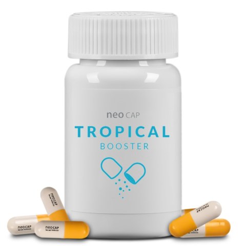 Neo Cap Tropical Booster - 20 kapsułek pożywka dla bakterii i czyszczenie wody Neo Cap Tropical Booster - 20 kapsułek pożywka dla bakterii i czyszczenie wody