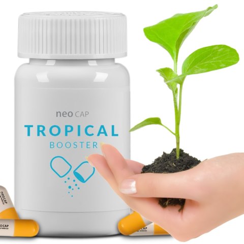 Neo Cap Tropical Booster - 20 kapsułek pożywka dla bakterii i czyszczenie wody Neo Cap Tropical Booster - 20 kapsułek pożywka dla bakterii i czyszczenie wody