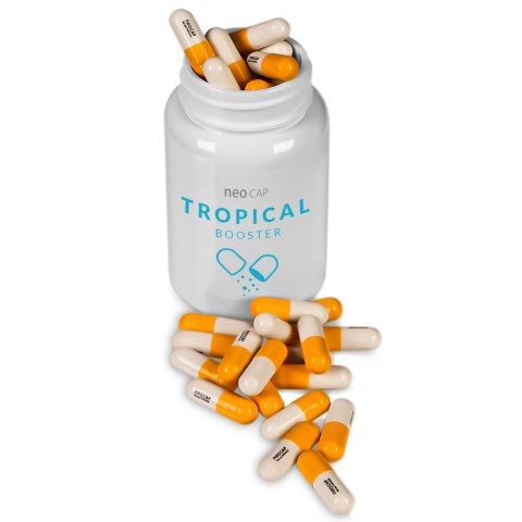 Neo Cap Tropical Booster - 20 kapsułek pożywka dla bakterii i czyszczenie wody Neo Cap Tropical Booster - 20 kapsułek pożywka dla bakterii i czyszczenie wody