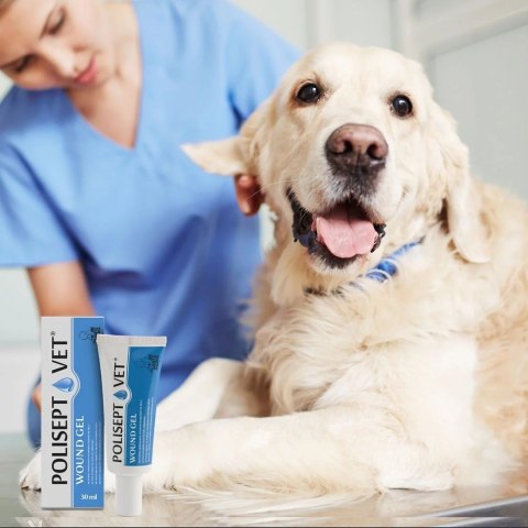 JM SANTE POLISEPT VET GEL opatrunek żelowy 30ml JM Sante JM SANTE POLISEPT VET GEL opatrunek żelowy 30ml JM Sante