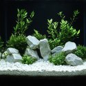 Kruger Meier Arctic Pearl 2-5 mm - Żwirek akwarystyczny 2 kg