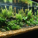 Kruger Meier River Serenity 2-8 mm - Żwirek akwarystyczny 2 kg