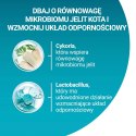 PURINA One Bifensis Adult Bogata w Kurczaka i Pełne Ziarna - sucha karma dla kota - 800 g PURINA NESTLE