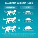 PURINA One Bifensis Adult Bogata w Kurczaka i Pełne Ziarna - sucha karma dla kota - 800 g PURINA NESTLE