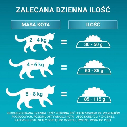 PURINA One Bifensis Adult Bogata w Kurczaka i Pełne Ziarna - sucha karma dla kota - 800 g PURINA NESTLE