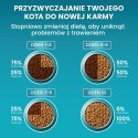 PURINA One Bifensis Adult Bogata w Kurczaka i Pełne Ziarna - sucha karma dla kota - 800 g PURINA NESTLE