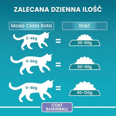 PURINA One Bifensis Coat & Hairball Kurczak - sucha karma dla kota - 800 g PURINA NESTLE