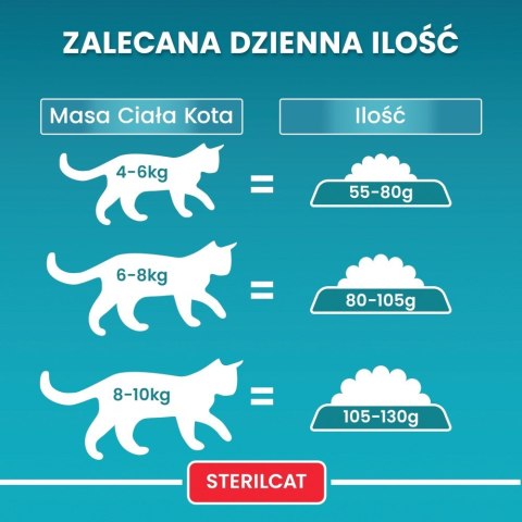 PURINA One Bifensis Sterilcat Wołowina - sucha karma dla kota - 800 g PURINA NESTLE