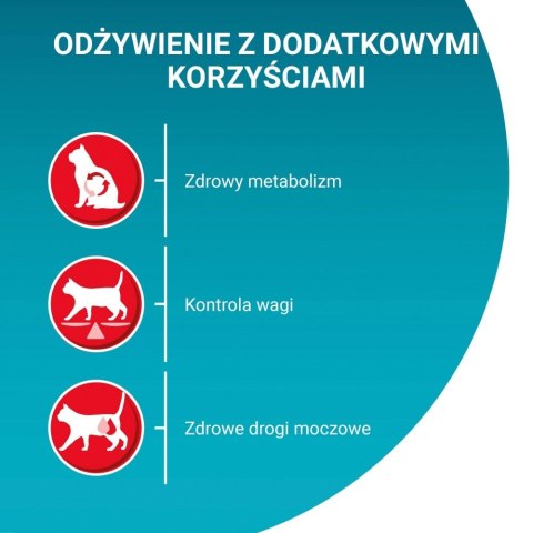 PURINA One Bifensis Sterilcat Wołowina - sucha karma dla kota - 800 g PURINA NESTLE