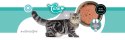 3Coty CHICKEN + DUCK Care for cats with sensitive kidneys 80g 3coty