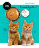 3Coty CHICKEN + DUCK for Kittens 80g 3coty