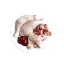 3Coty CHICKEN for Adult cats 80g 3coty