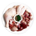 3Coty CHICKEN with Spirulina for Senior Cats 80g 3coty