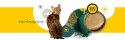3Coty CHICKEN with Spirulina for Senior Cats 80g 3coty