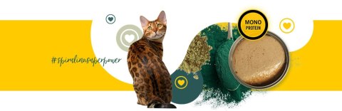 3Coty CHICKEN with Spirulina for Senior Cats 80g 3coty