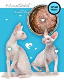 3Coty DUCK for Adult cats 80g 3coty