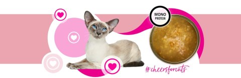 3Coty TURKEY Cheers! Complementary feed for cats 75g 3coty
