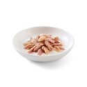 SCHESIR dla kotów Single Dish Tuńczyk z Łososiem 50g Schesir
