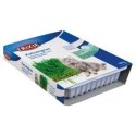 TRIXIE Trawa dla kota pojemnik 100g 4235 TRIXIE