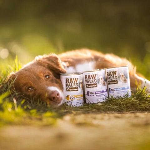 VetExpert Raw Paleo Kaczka Adult Can400g VetExpert