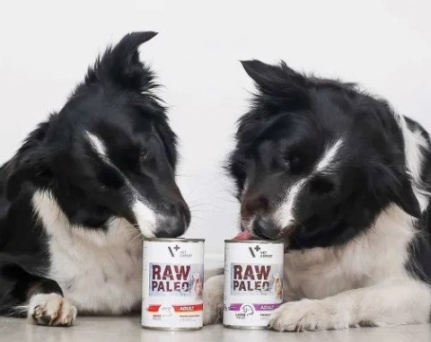 VetExpert Raw Paleo Wołowina Adult Can 800g VetExpert