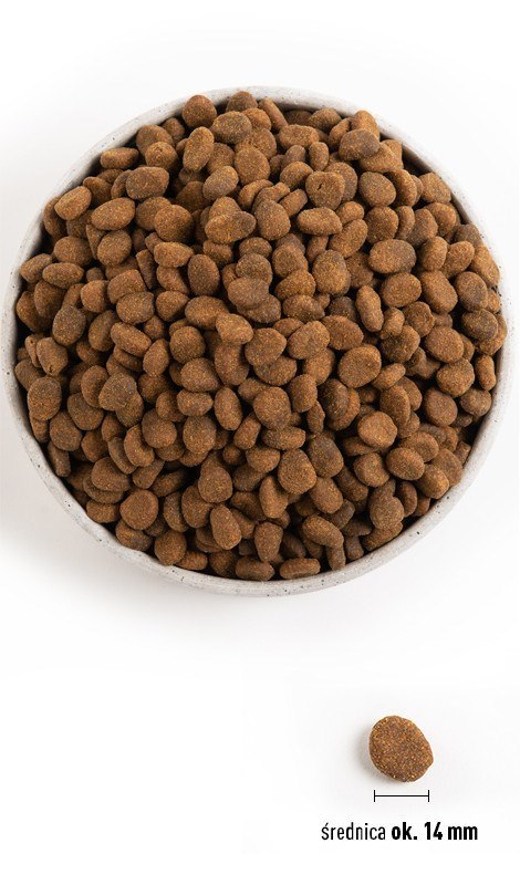 ORIJEN Regional Red - sucha karma dla psa - 2 kg Orijen