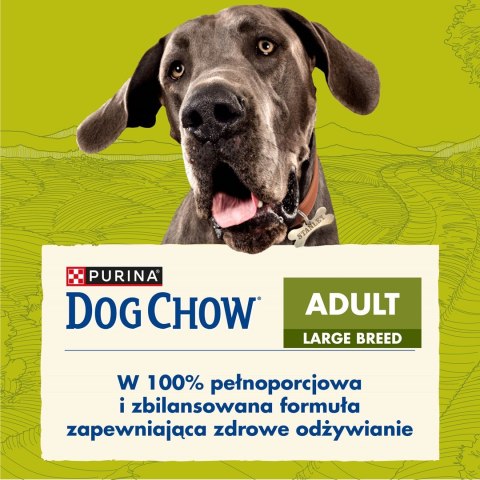 PURINA DOG CHOW Adult Large Breed - sucha karma dla psa - 14kg PURINA NESTLE