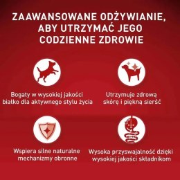 Purina ONE MINI Dog Active GiG wołowina, ziem. 85g PURINA NESTLE