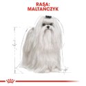 ROYAL CANIN BHN Maltese Adult - sucha karma dla psa dorosłego - 1,5kg Royal Canin