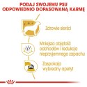 ROYAL CANIN BHN Maltese Adult - sucha karma dla psa dorosłego - 1,5kg Royal Canin