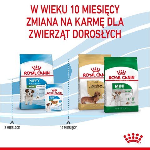 ROYAL CANIN Puppy Mini SHN - sucha karma dla szczeniąt - 8 kg Royal Canin