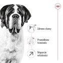 ROYAL CANIN SHN Giant Adult - sucha karma dla psa dorosłego - 15 kg Royal Canin