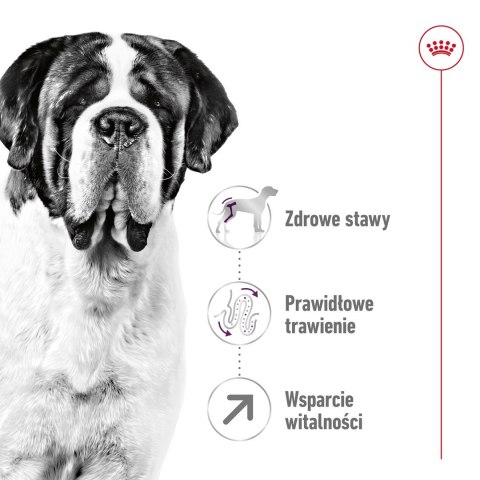 ROYAL CANIN SHN Giant Adult - sucha karma dla psa dorosłego - 15 kg Royal Canin