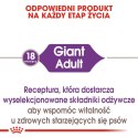 ROYAL CANIN SHN Giant Adult - sucha karma dla psa dorosłego - 15 kg Royal Canin