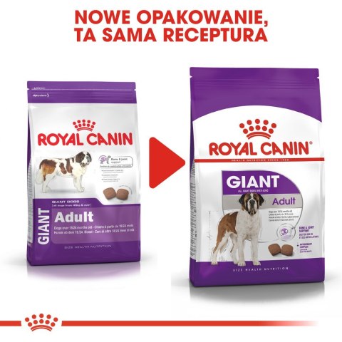 ROYAL CANIN SHN Giant Adult - sucha karma dla psa dorosłego - 15 kg Royal Canin