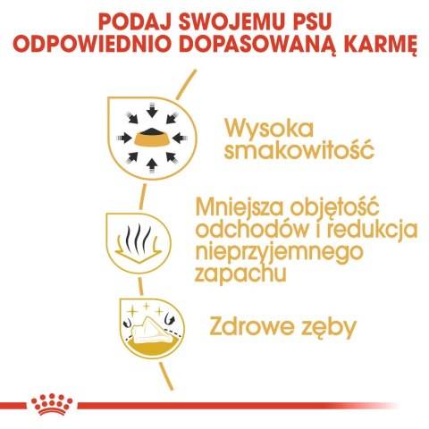 Royal Canin BHN Chihuahua Adult - sucha karma dla psa dorosłego - 1,5kg Royal Canin