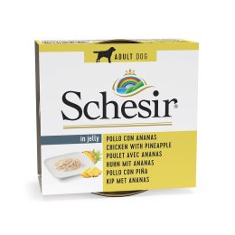 SCHESIR Adult FRUIT Filety z kurczaka z ananasem 150g Schesir