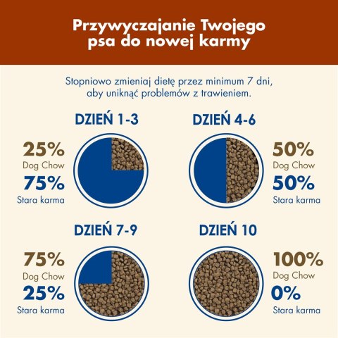 PURINA Dog Chow Mature Senior z jagnięciną - sucha karma dla psa - 14 kg PURINA NESTLE