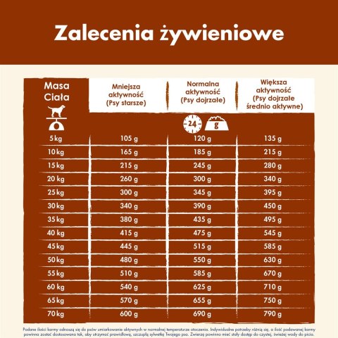 PURINA Dog Chow Mature Senior z jagnięciną - sucha karma dla psa - 14 kg PURINA NESTLE