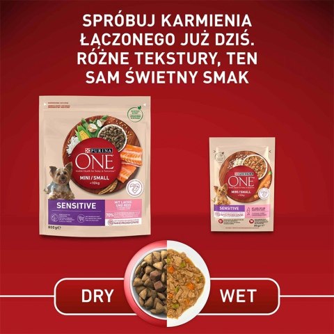PURINA One Mini/Small Sensitive Łosoś, ryż - sucha karma dla psa - 800 g PURINA NESTLE